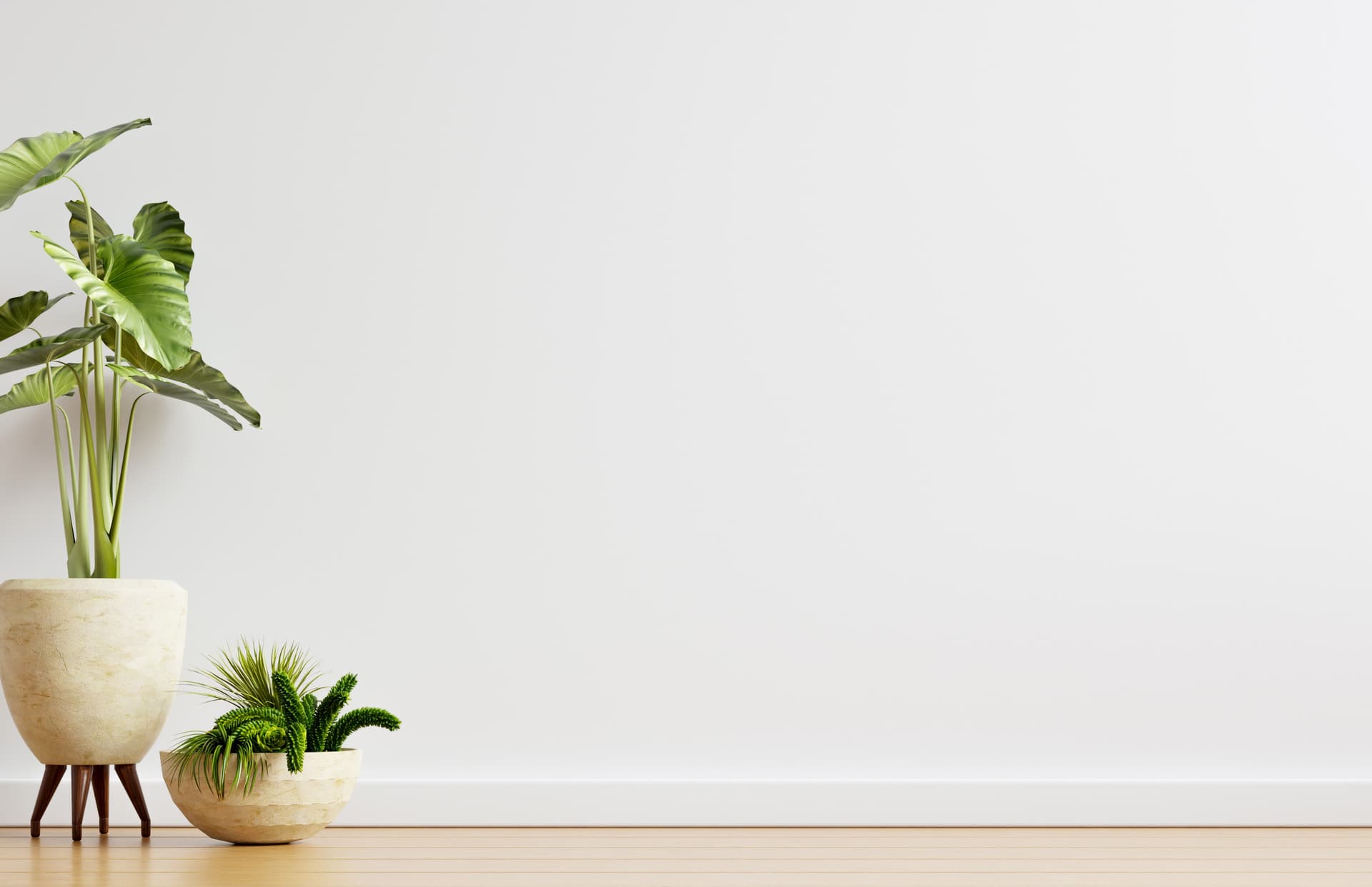 Telland company activities